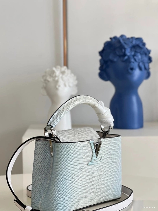 Cheap VUITTON MINI CAPUCINES LOUIS 0815